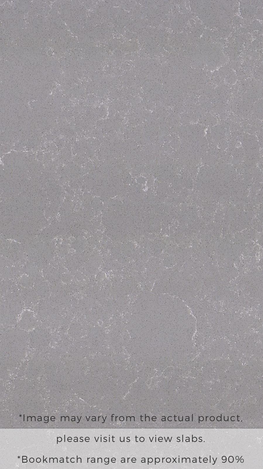 ELEGANT GREY 10102
