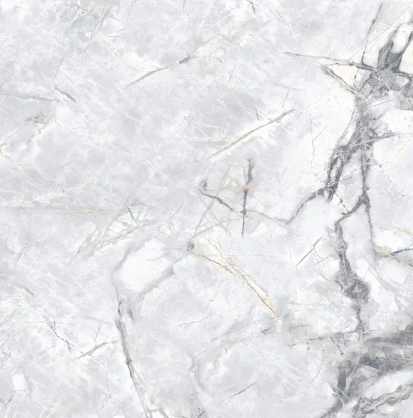 INVISIBLE GOLD MATT 60X60 (BORGIA)