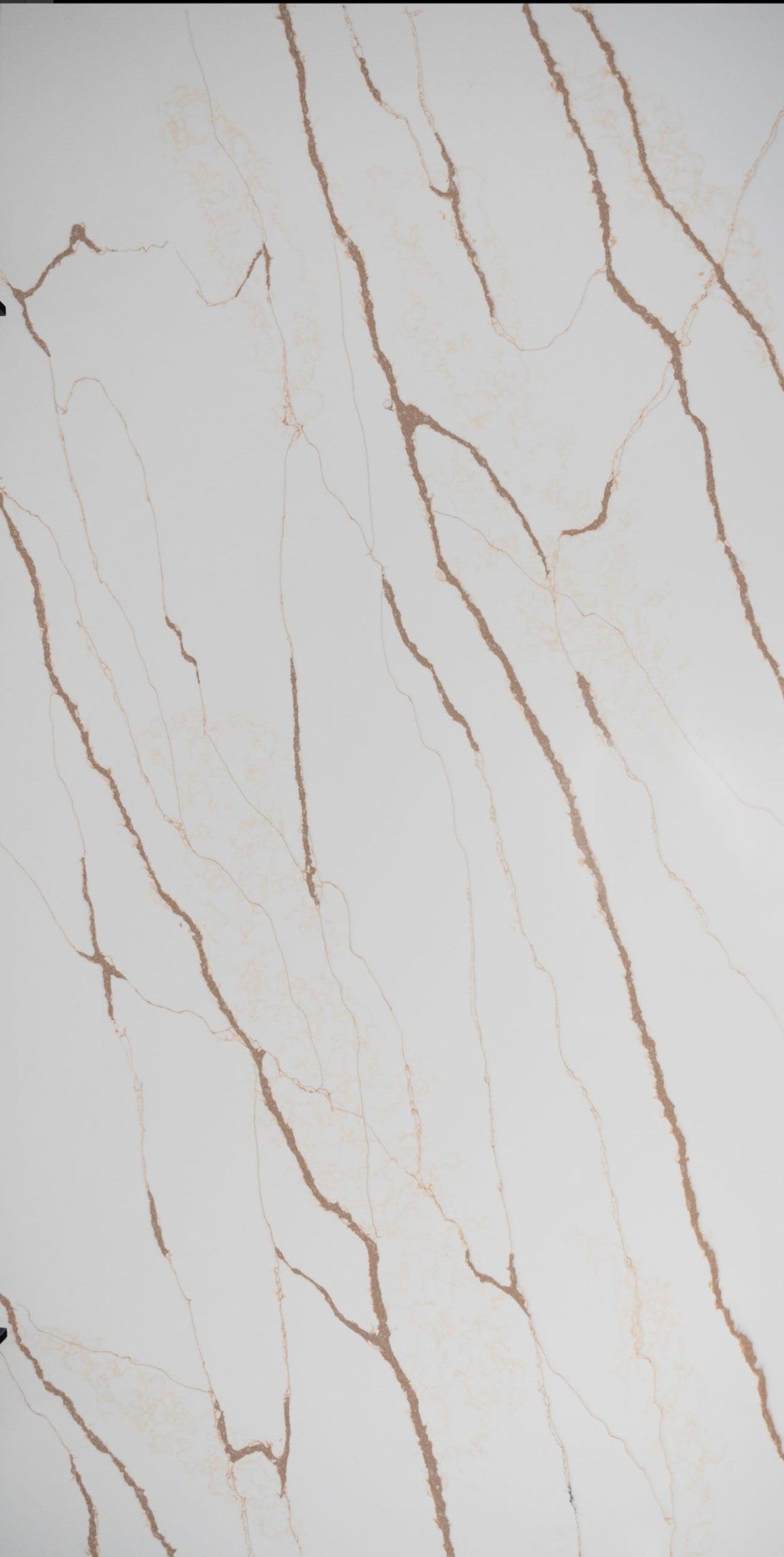 Calacatta Inferno - Code: HS356