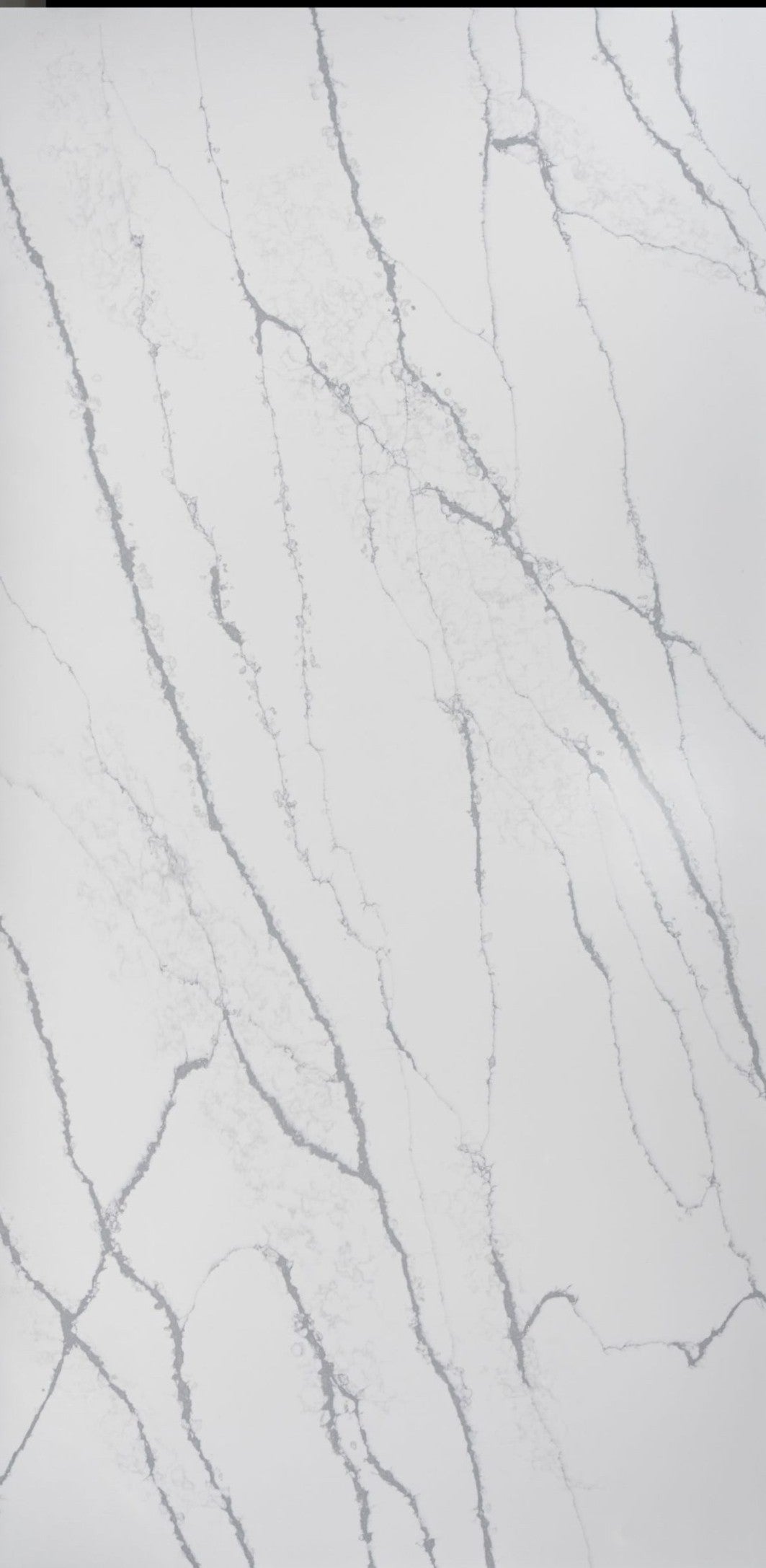 Calacatta Supernova - Code: HS355