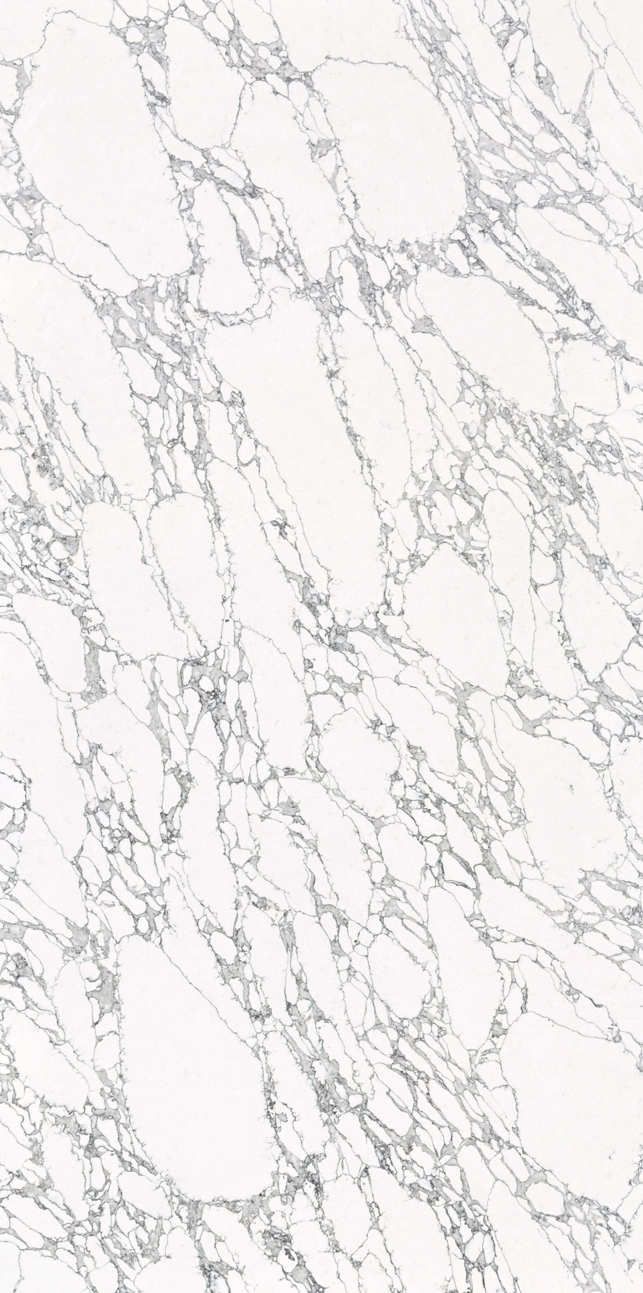 Calacatta Pearla - Code: HS332