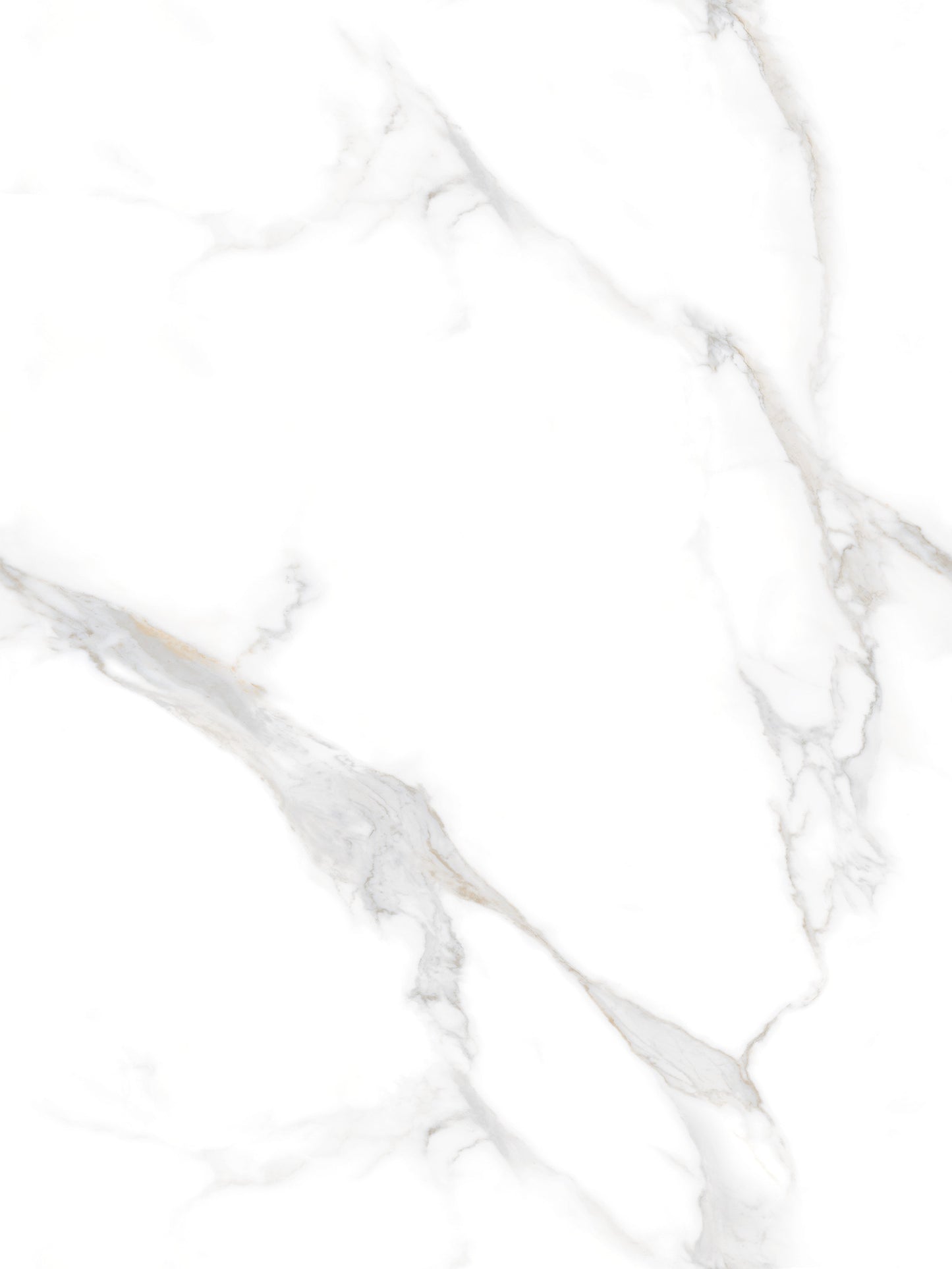ELEGANT STATUARIO ENDLESS POLISHED 80X120