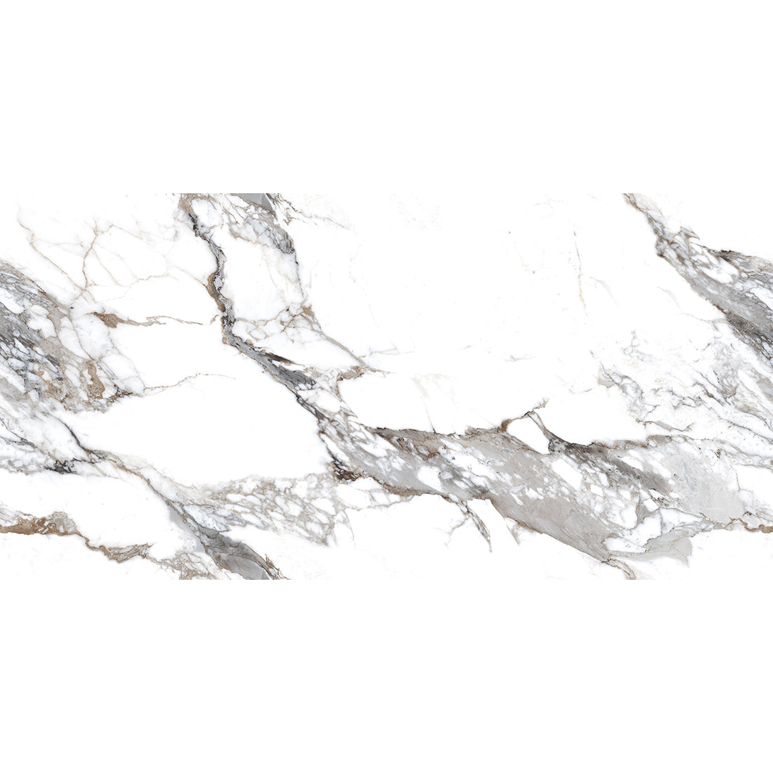 Calacatta Borghini 60x120 Grey Polished