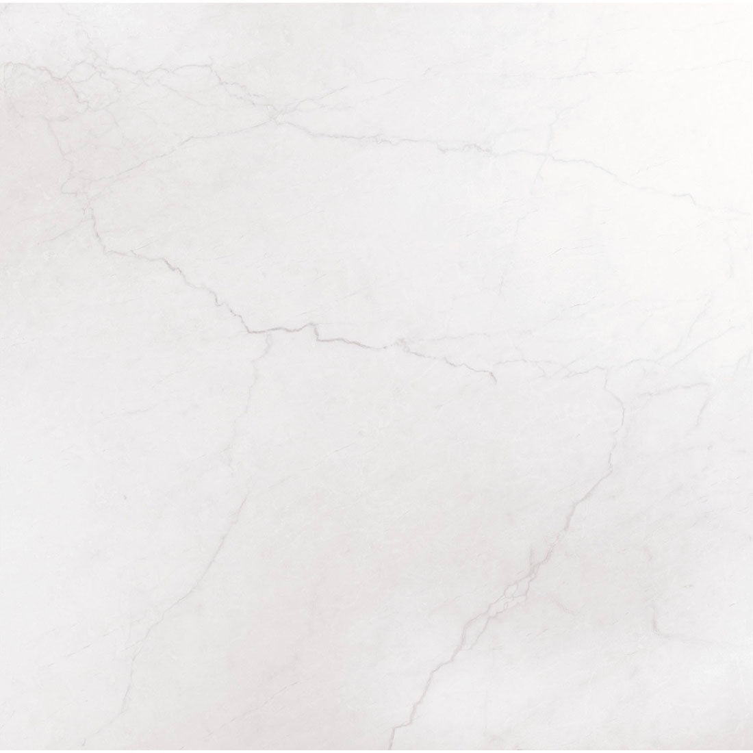 Halo 79x79 Blanco Polished