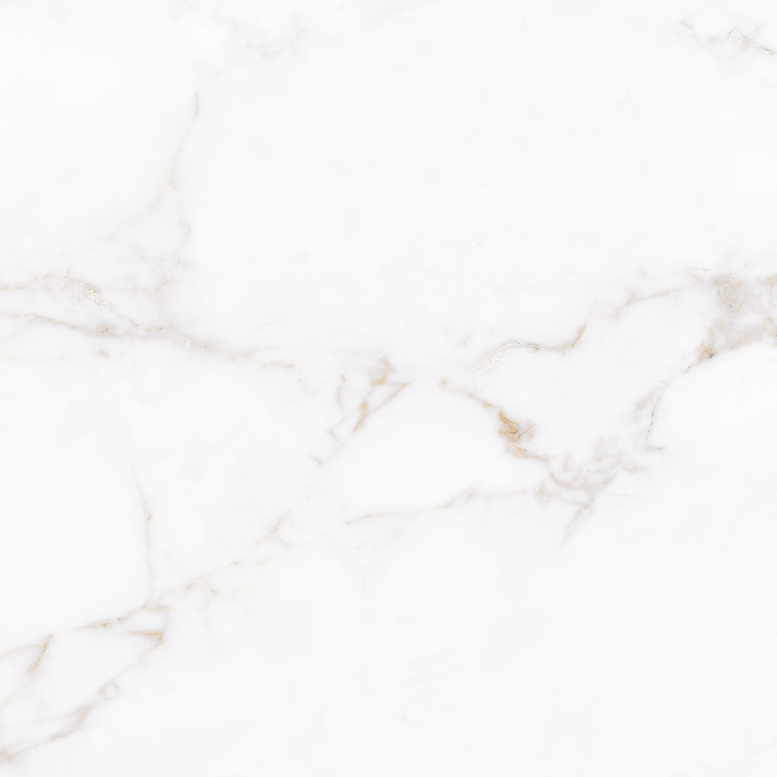 Lucia 59x59 White Polished