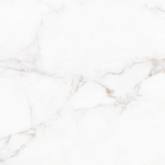 Lucia 59x59 White Polished