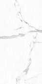 CALACUTA POLISHED 60X120