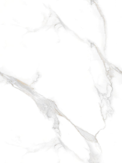 ELEGANT STATUARIO ENDLESS POLISHED 80X120