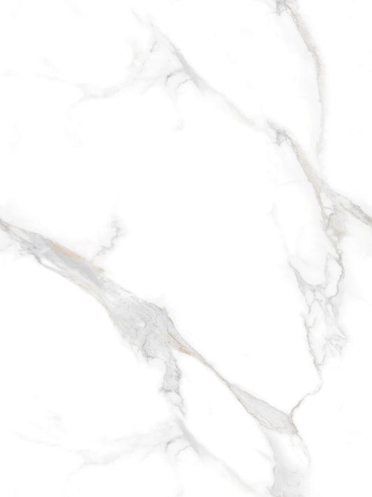 ELEGANT STATUARIO ENDLESS POLISHED 80X120