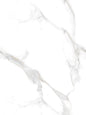 ELEGANT STATUARIO ENDLESS POLISHED 80X120