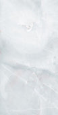 PACIFIC AQUA POLISHED 60X120