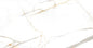 SPLENDOR GOLD POLISHED 60X60