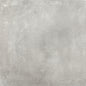 Assen 60x60x2 Grey Matt R11