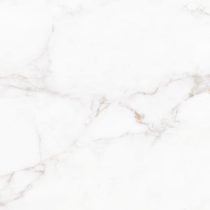 Lucia 119x119 White Polished