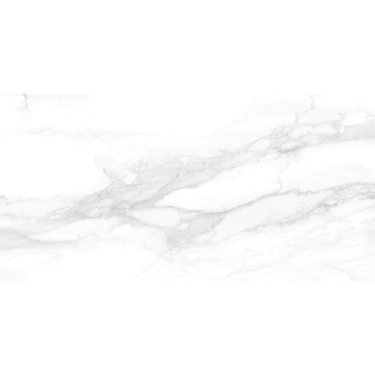 Pantheon 30x60 White Polished