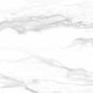 Pantheon 60x60 White Polished