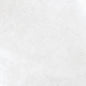 Silky 79x79 Blanco Polished