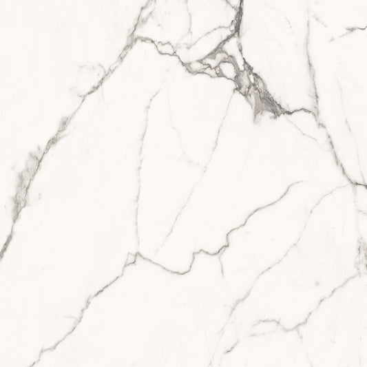 Superb Statuario 60x60 White Polished