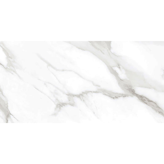 Taj Mercury 30x60 White Polished