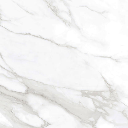 Taj Mercury 60x60 White Polished