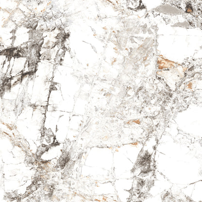 Zebra 60x60 White Polished
